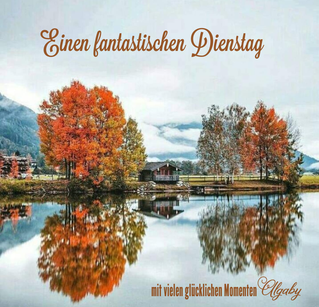 311569651_2337592989738759_9015593589195155654_n