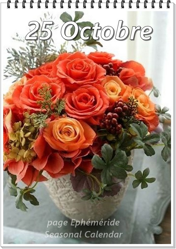 311572597_484344993727808_3195426987965550166_n