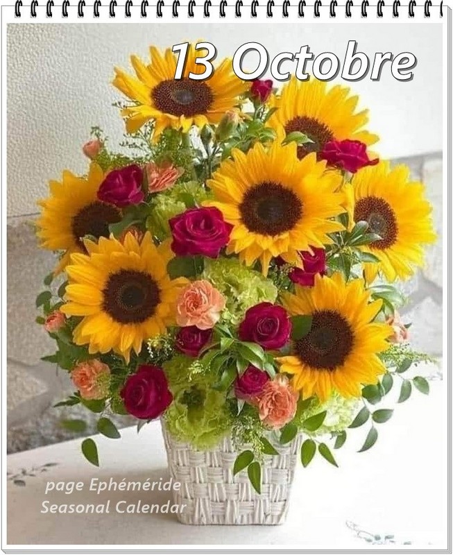 311590517_481395160689458_8562988835439234420_n