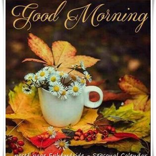 311728262_492010109627963_4245944758966851596_n