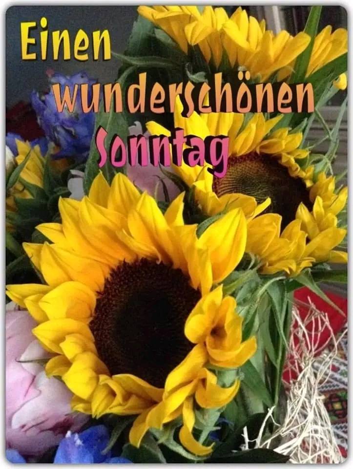 311802275_116359474579845_2187983912709662898_n