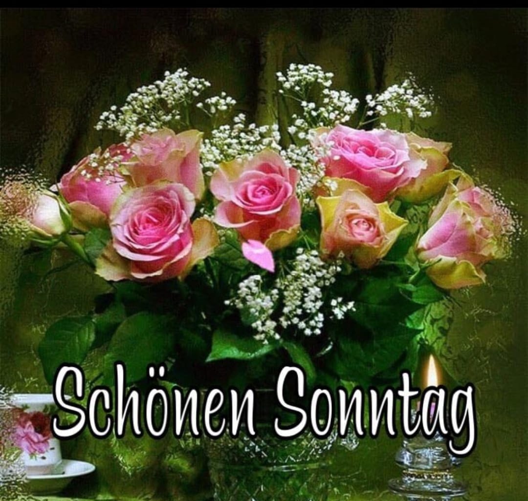 311819071_1730047834045240_6838050002168381652_n (2)