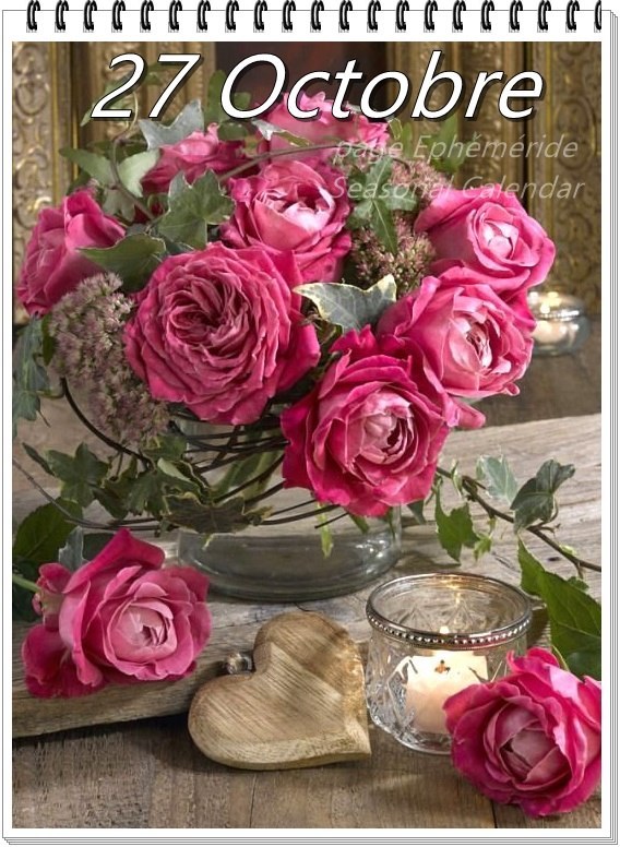 312057106_496360609192913_6557533447219726370_n