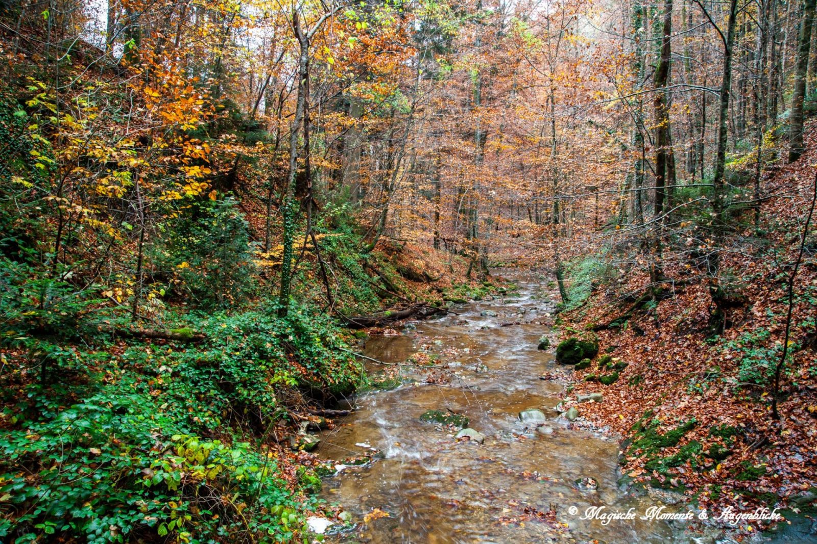 312172359_830995028120827_8962124690393673494_n