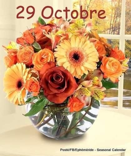 312400217_498613162300991_6574735801697270041_n