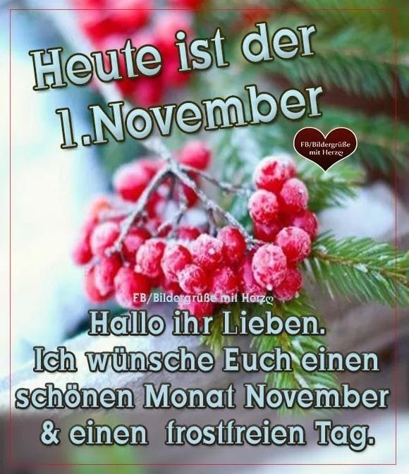 312486350_492863859556741_2892919013427472867_n