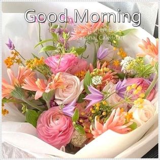 312612686_498627082299599_7589721013638033174_n