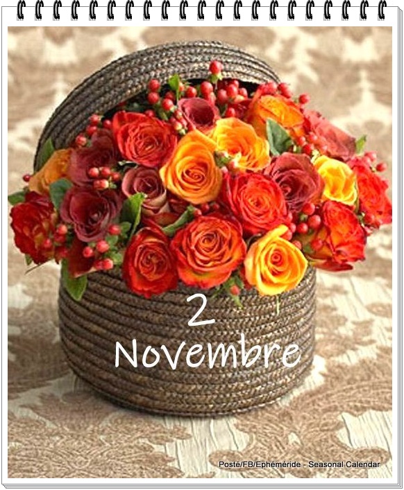 312801893_502848635210777_8159475275499938108_n