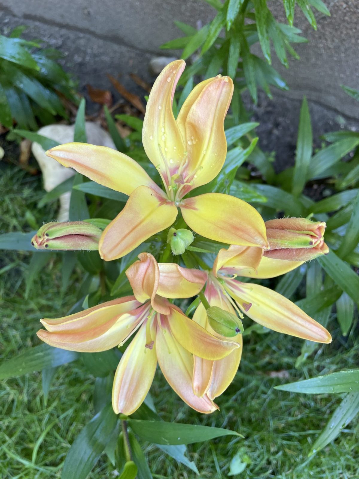 3128625E-66BE-41CE-AD03-9672B0556E29