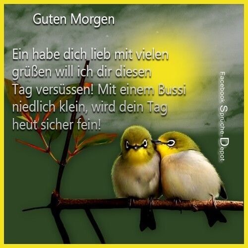 313199878_865643861461546_6510782775566879943_n