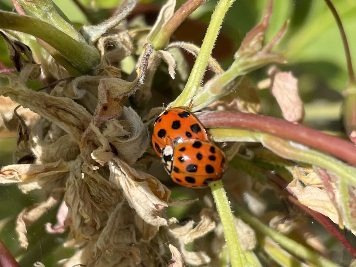 313DEAB9-9818-4506-B48E-FFD9FA7962EB