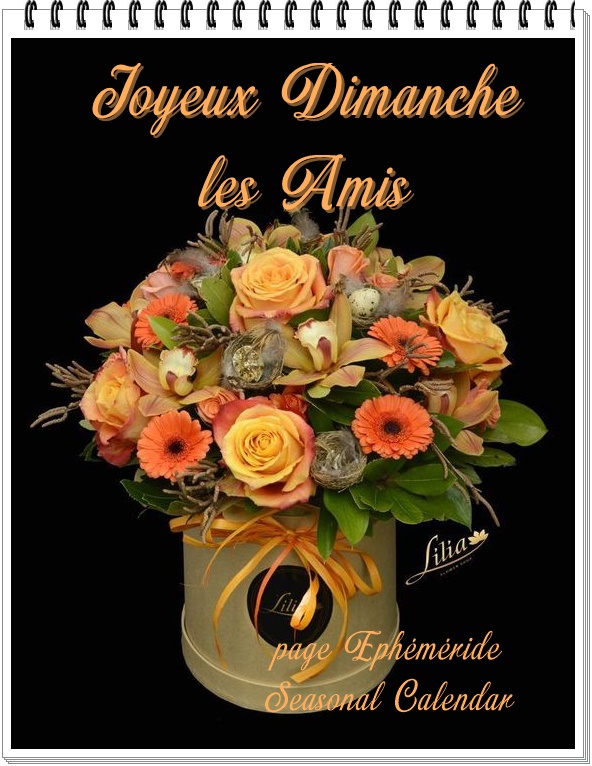 314090032_513792677449706_4916067207118667977_n