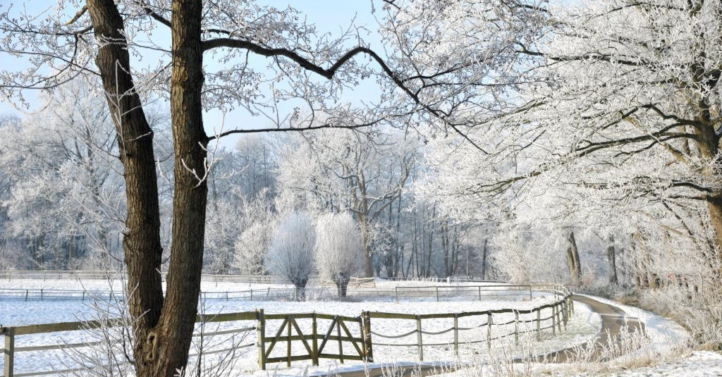 314548581_6286730843889_7721498874305929820_n