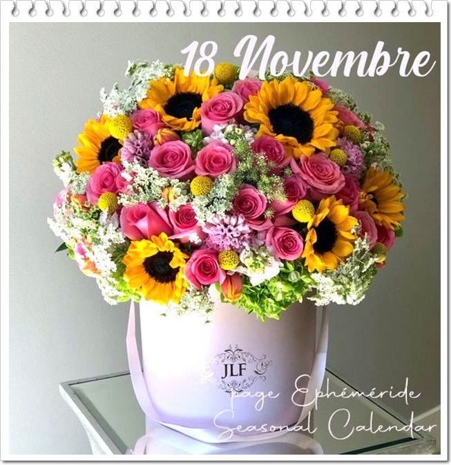 314674333_518920610270246_7128592857487241919_n