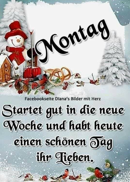 314707094_565977632001113_6561518186165497199_n (3)