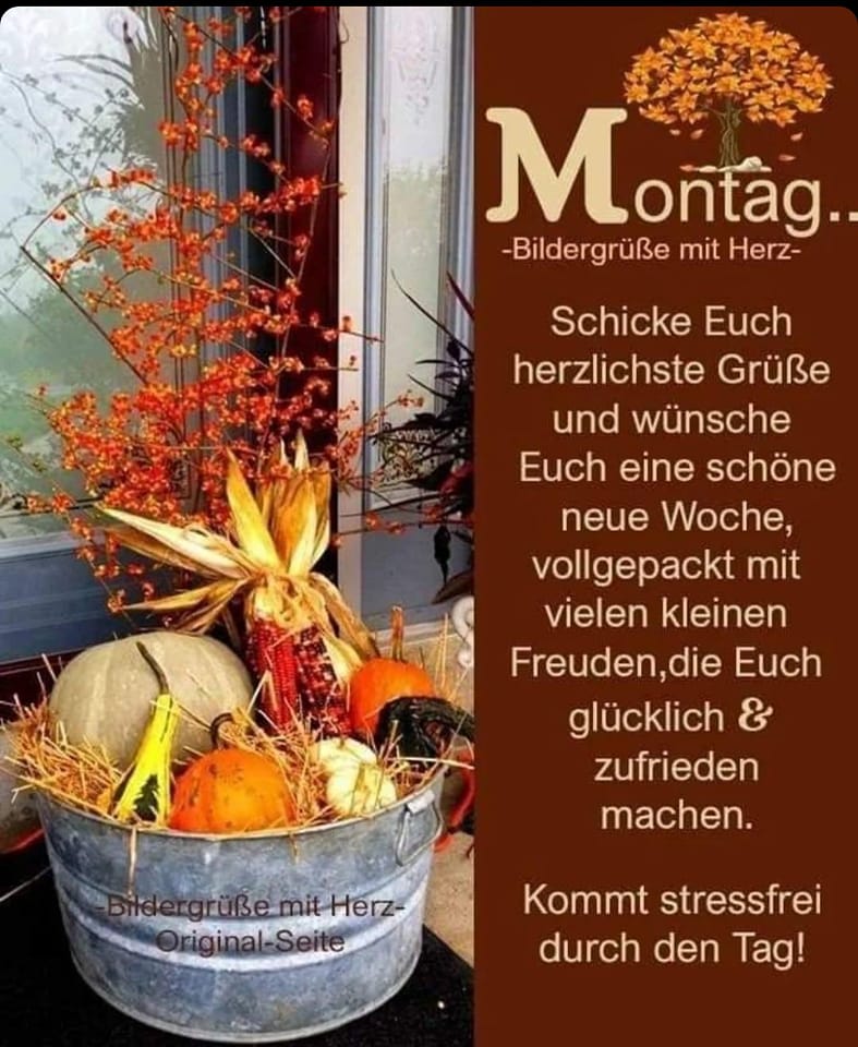 314892537_152052127567397_2228517194078681621_n