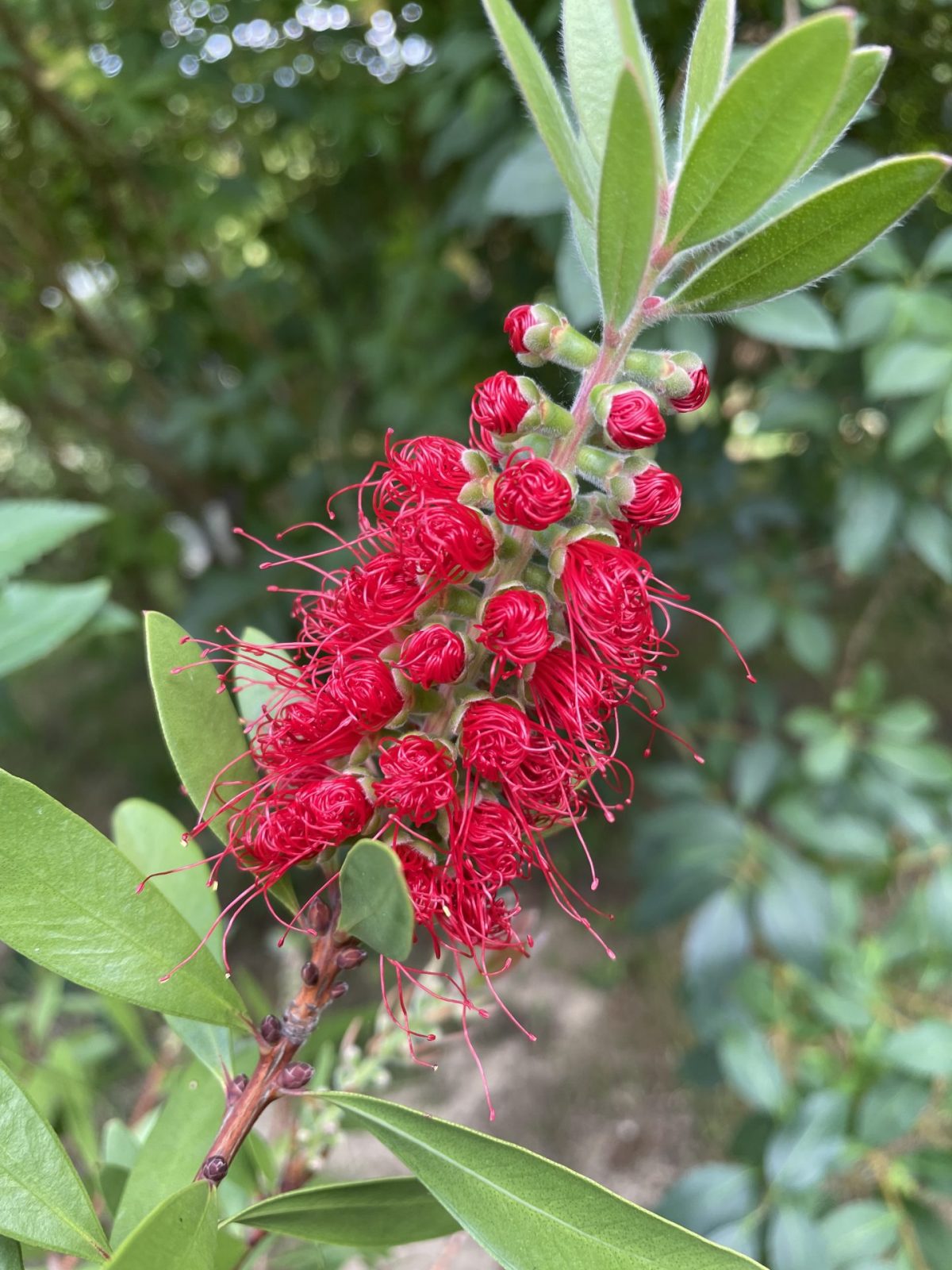 314BDDB9-6648-4D46-A0B4-449793C2DF65