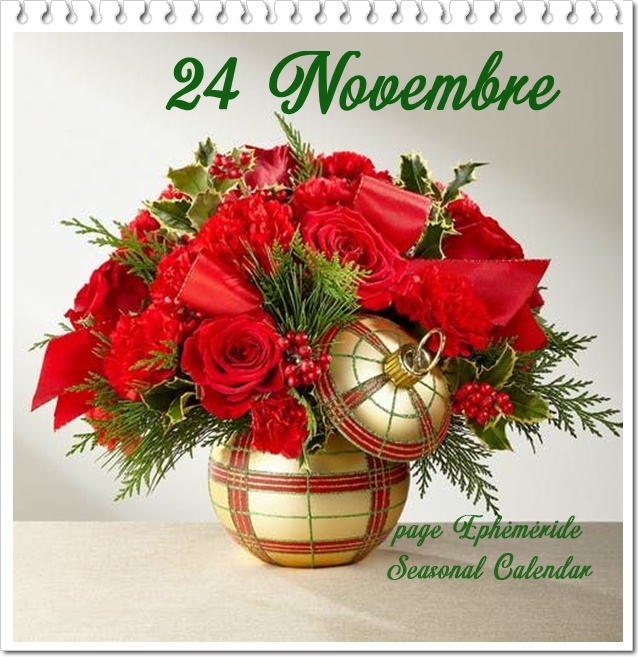 315042787_511657530996554_1717688138951142173_n