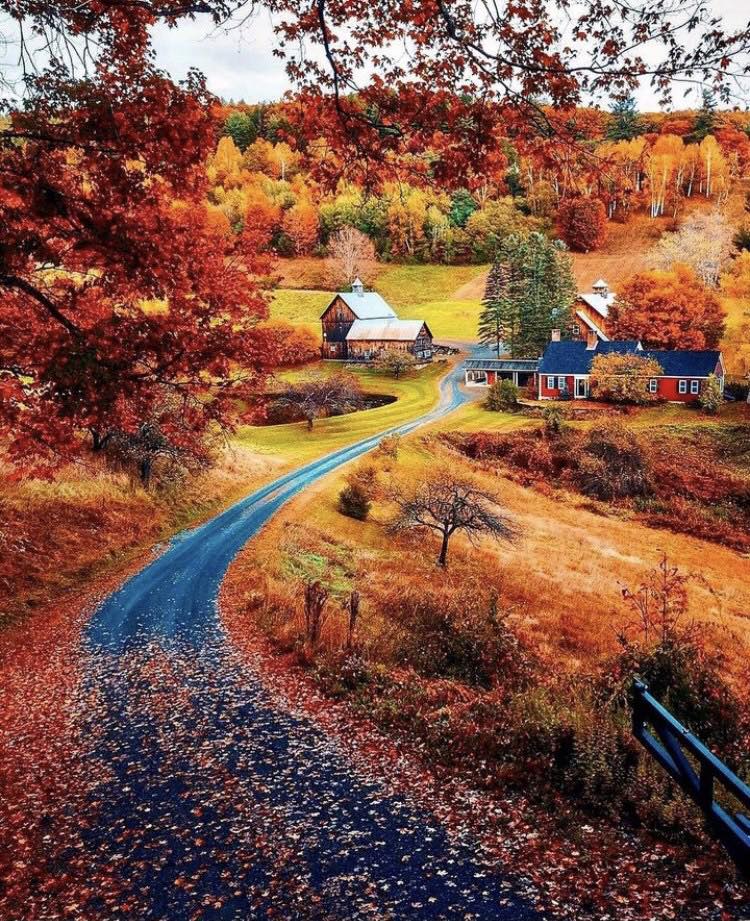 315279778_1829516164054103_8898358674843180203_n