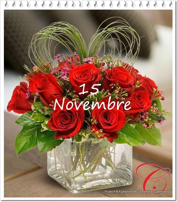 315667484_515776083918032_4488680928371989883_n