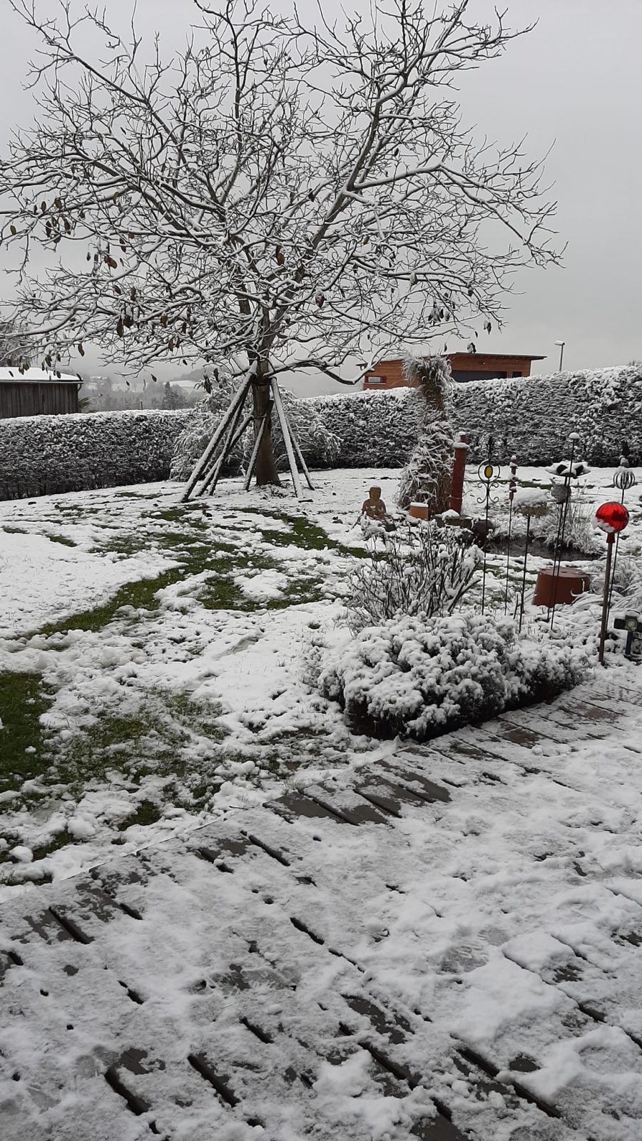 316257822_3231423403741185_7315856290990097818_n