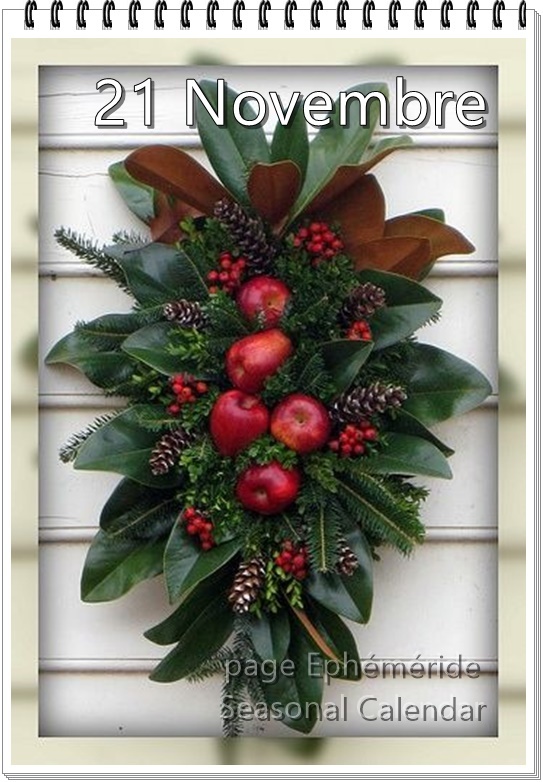 316271454_521874853308155_5066391104222853182_n