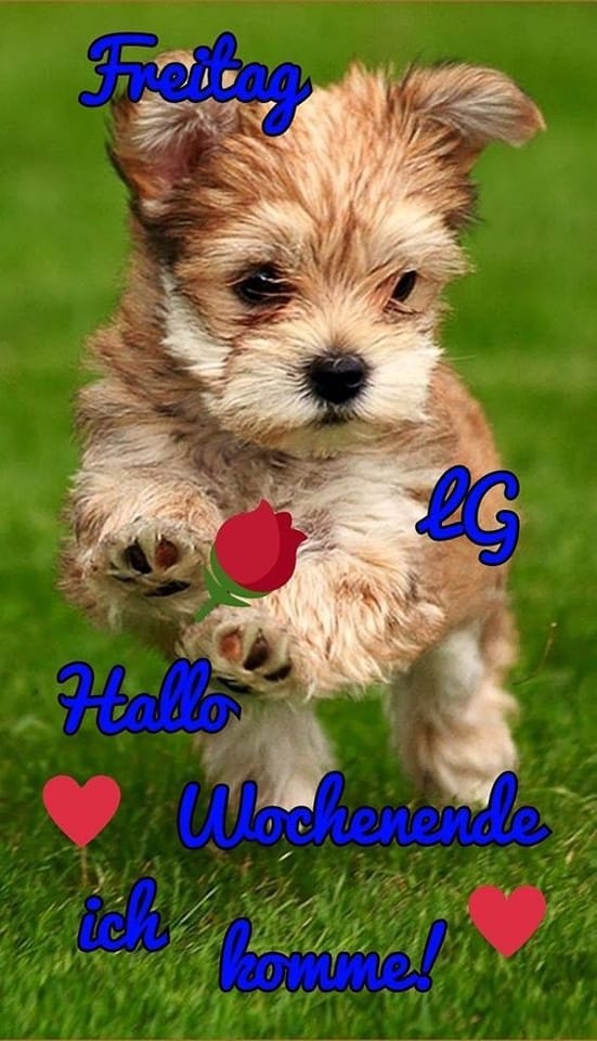 316415306_667759581514954_6692021045162331863_n (2)