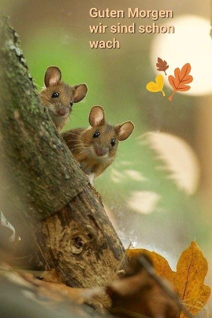 316428168_988363645455677_2611888635126424392_n (2)