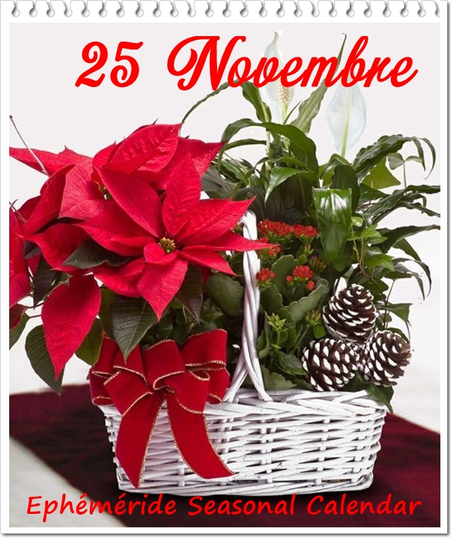 316935986_525556432939997_3818643626797815951_n