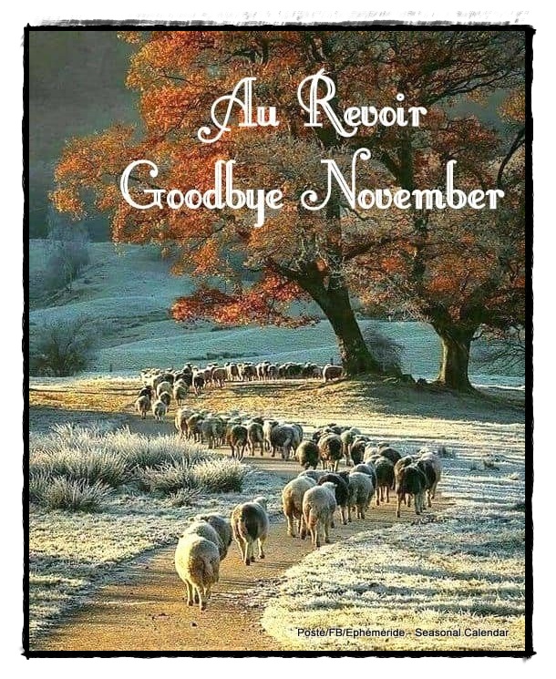 317522567_530301615798812_8392603038616351264_n