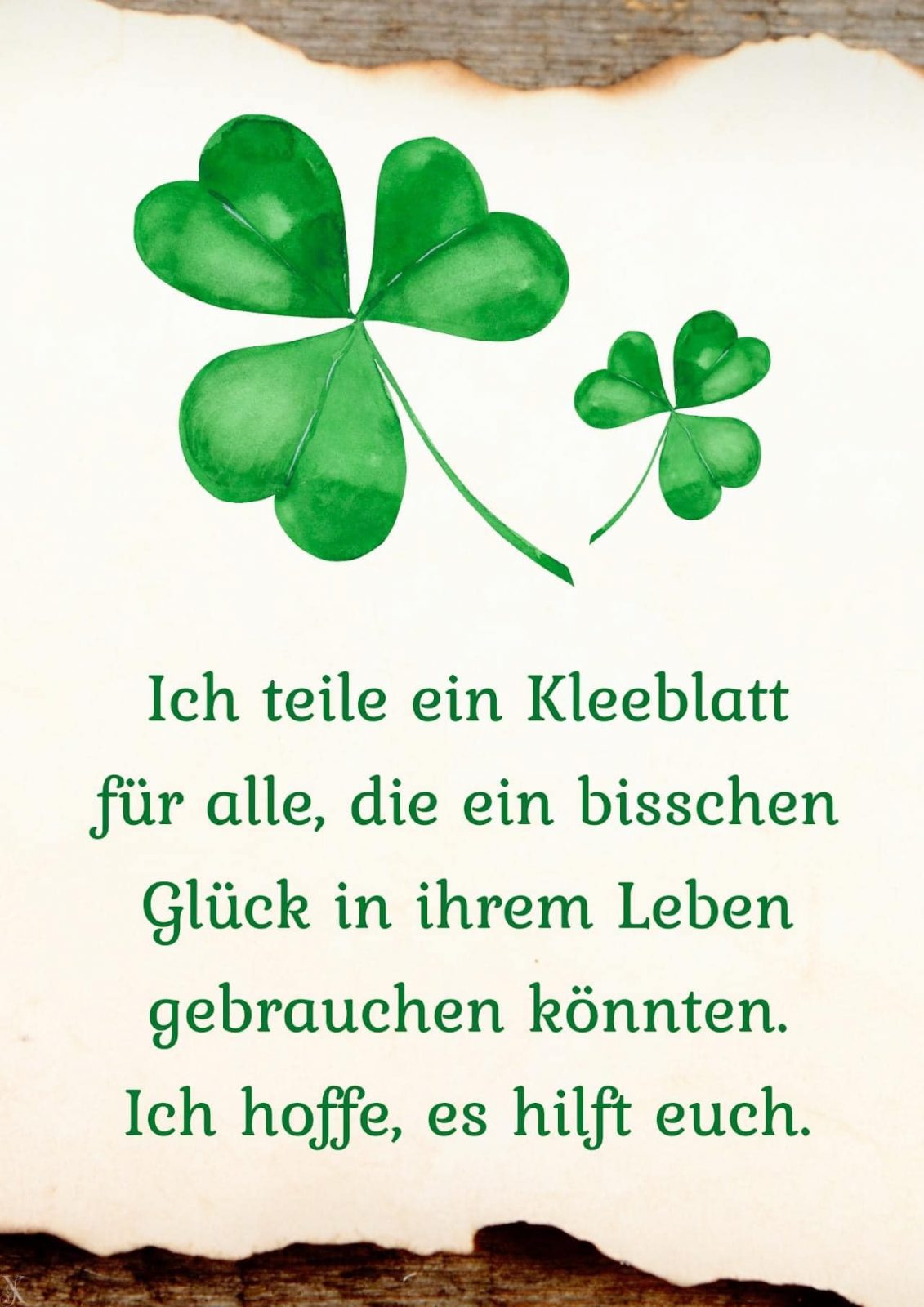 317868458_519667296870409_7028791965706905552_n