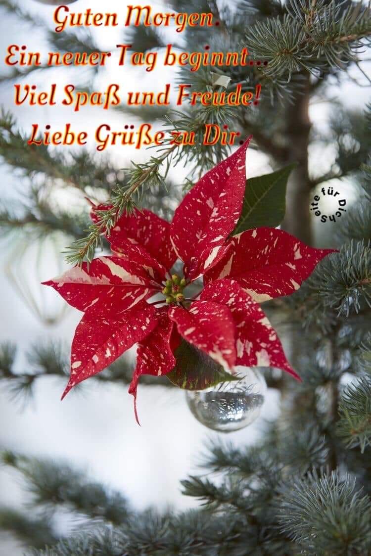 318318490_131417559736095_8378768338141529990_n (1)