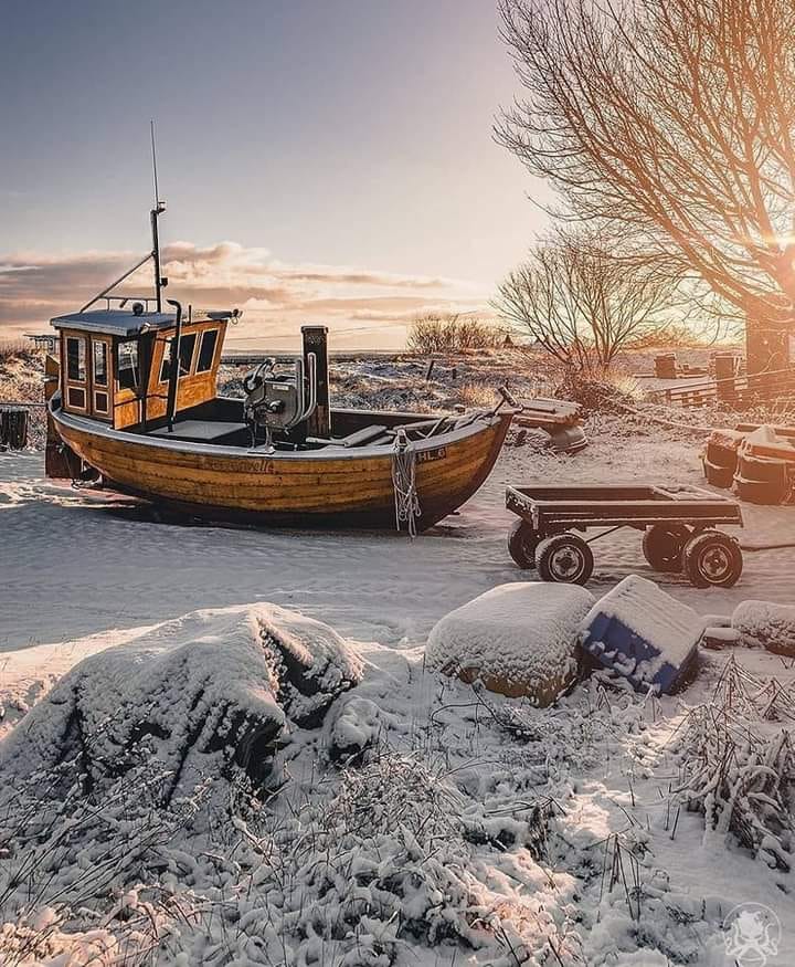 318509281_448722647448916_8425551277181980346_n