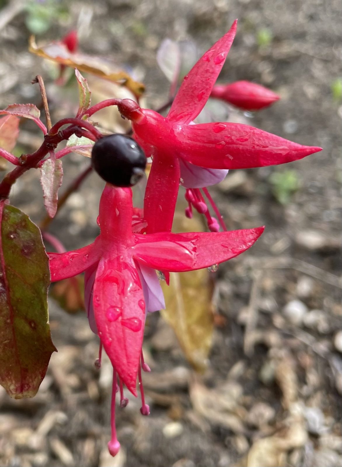 3188ABF9-7C7C-43A9-980F-5FCA6A104149