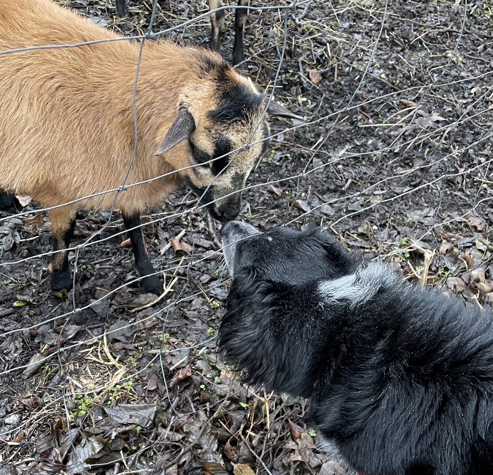 31934B34-B3C2-4817-A646-8B5132C7CFB6