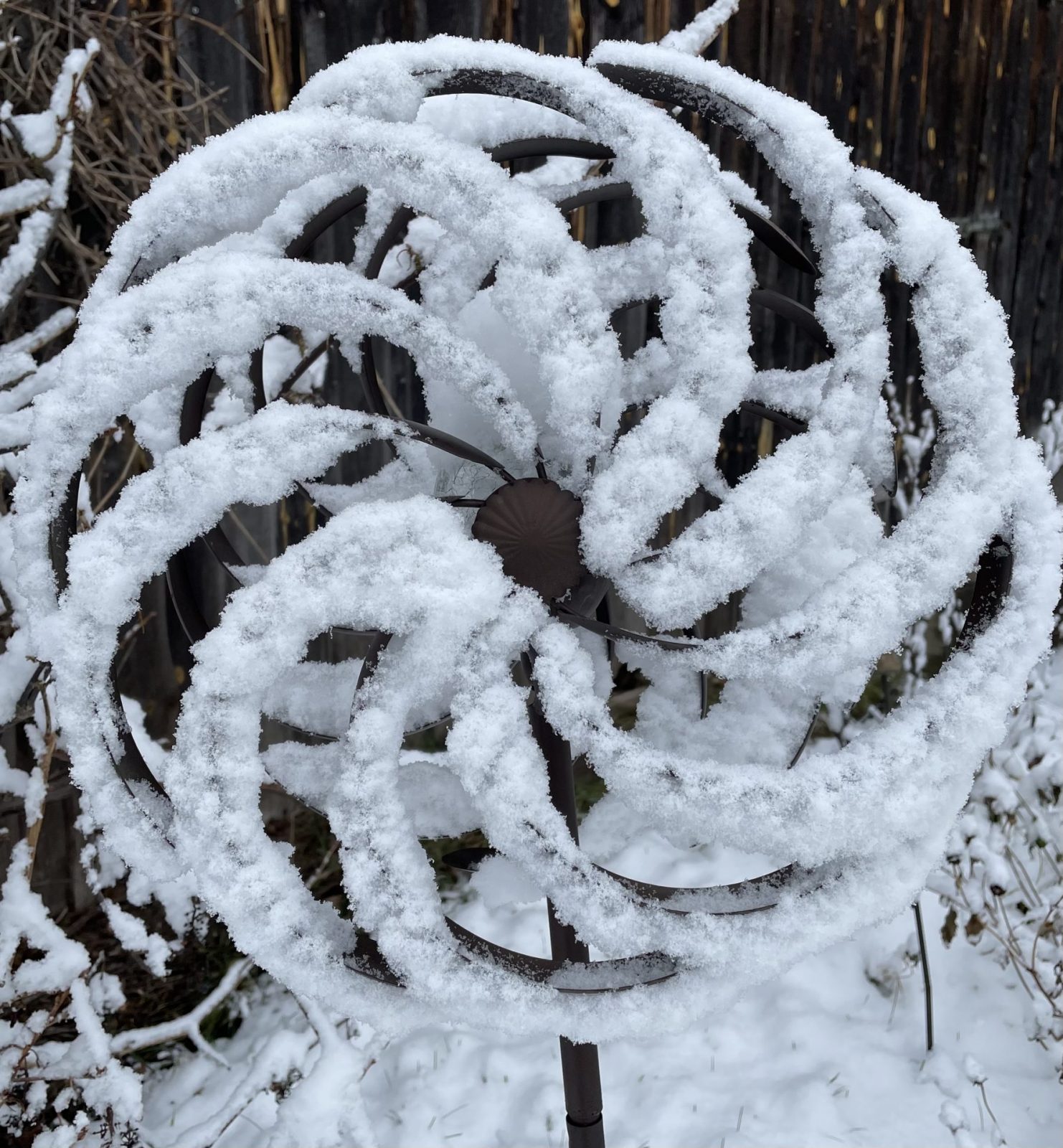 31B072C9-FCCA-4D36-993D-409CBA294E4D