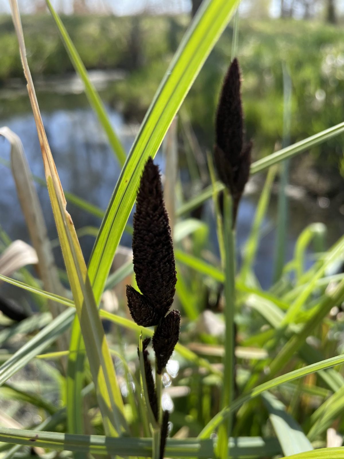 31CDE9D4-5437-4A74-B728-D7FE0A54EC11