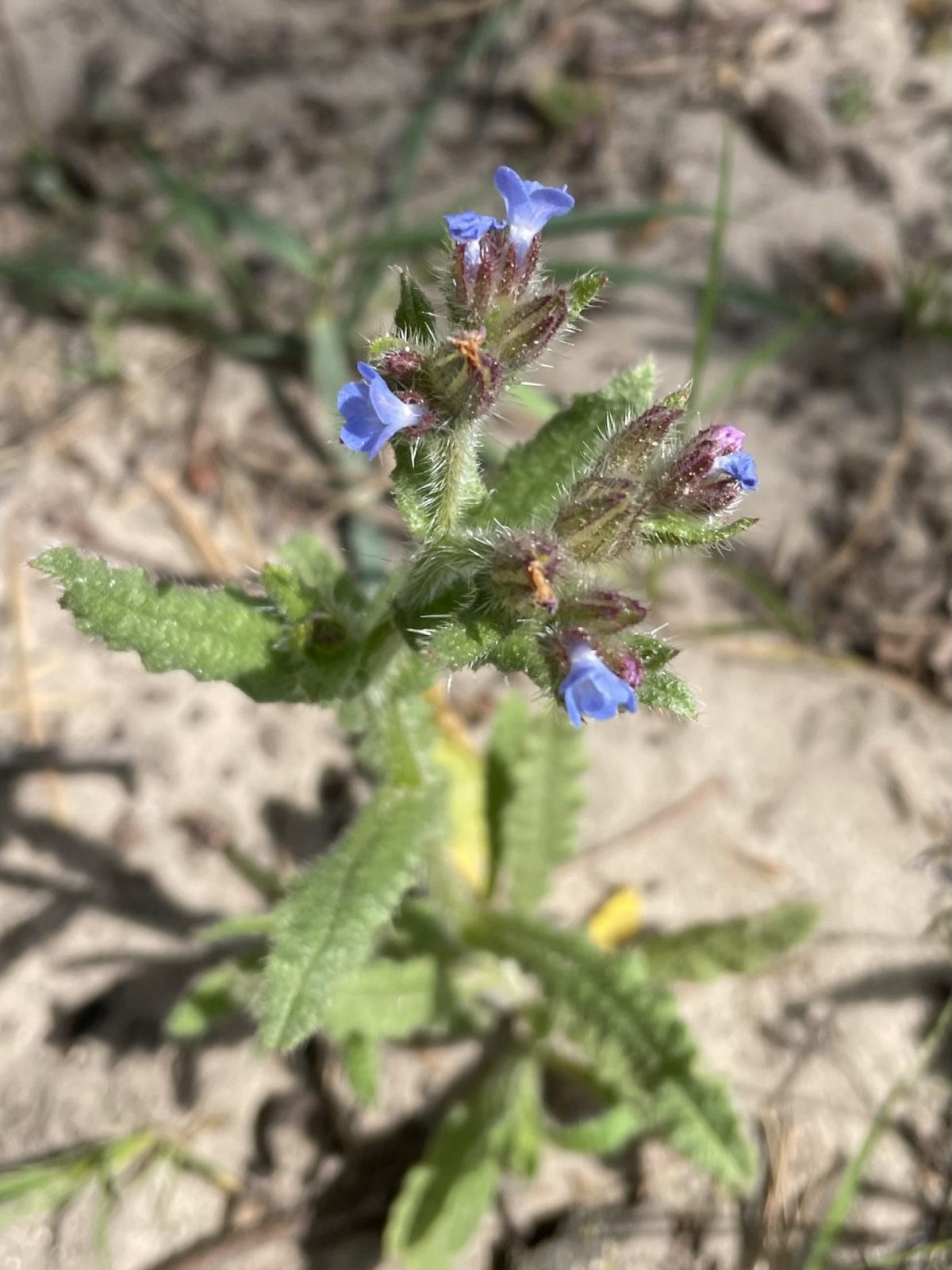 31E13D6F-7A5A-4C15-B60D-544DF7F08EA1