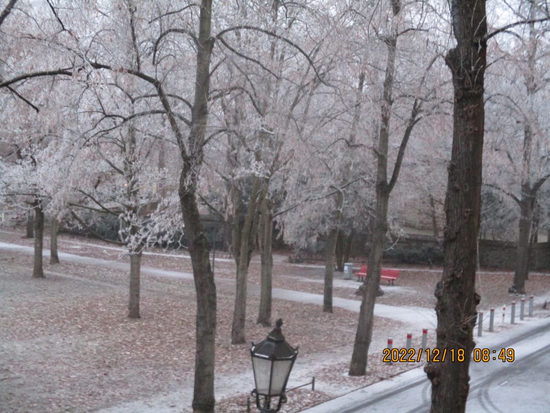 320374864_815413296421163_1608694548948936072_n