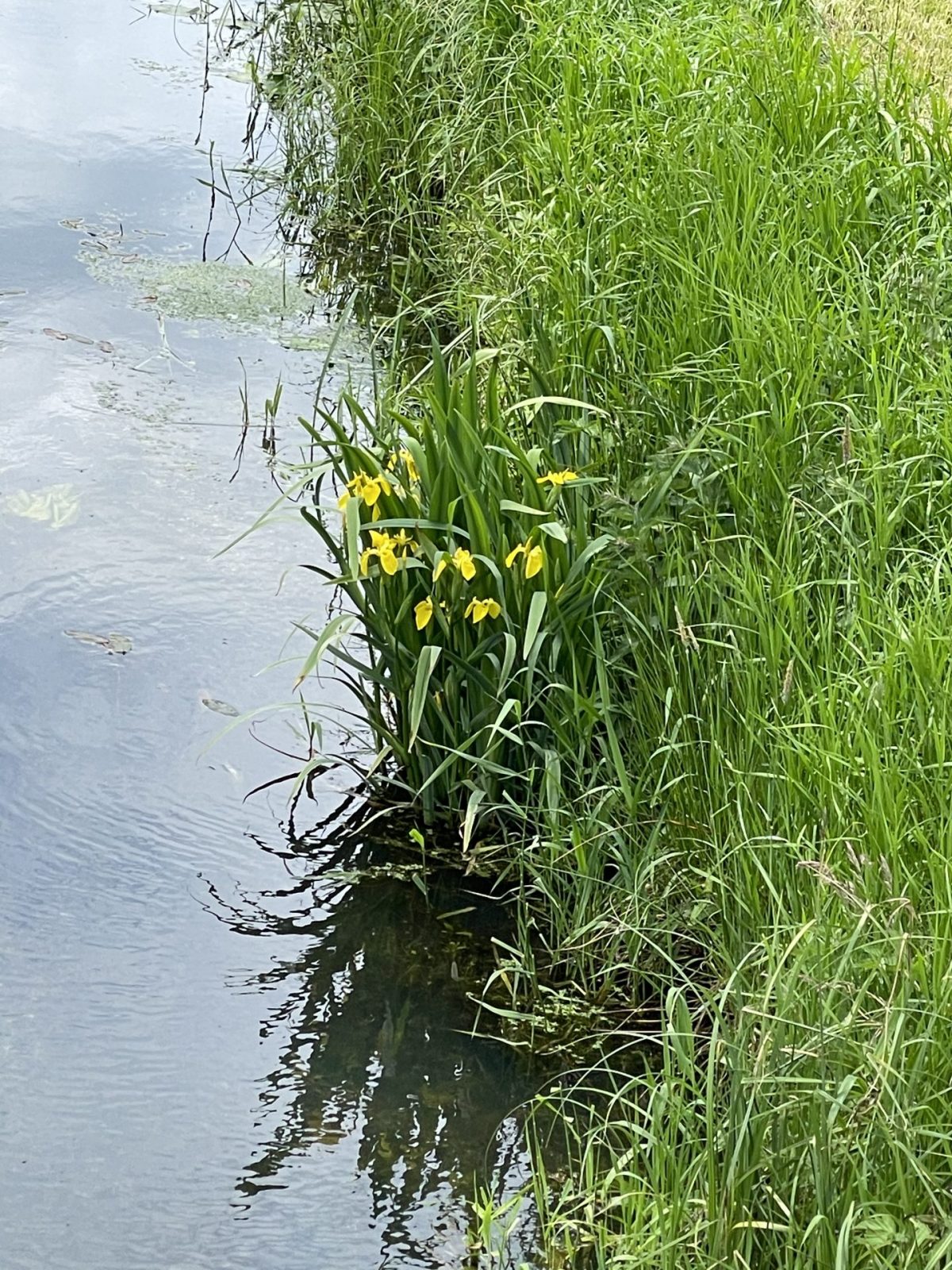 3203C1DB-81CE-4E55-BA4C-6BFEA2EE5FF9