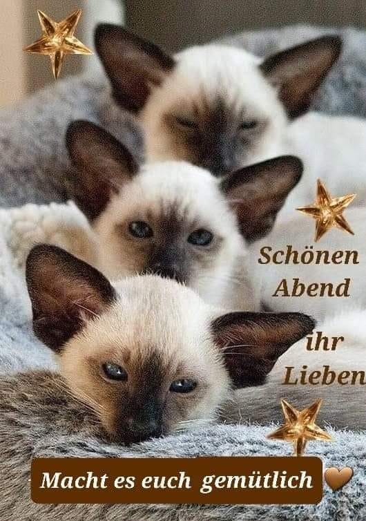 320574658_717079026355774_5832233584061955908_n