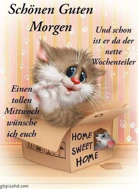 321253037_686389826534378_4274137213911337311_n (1)