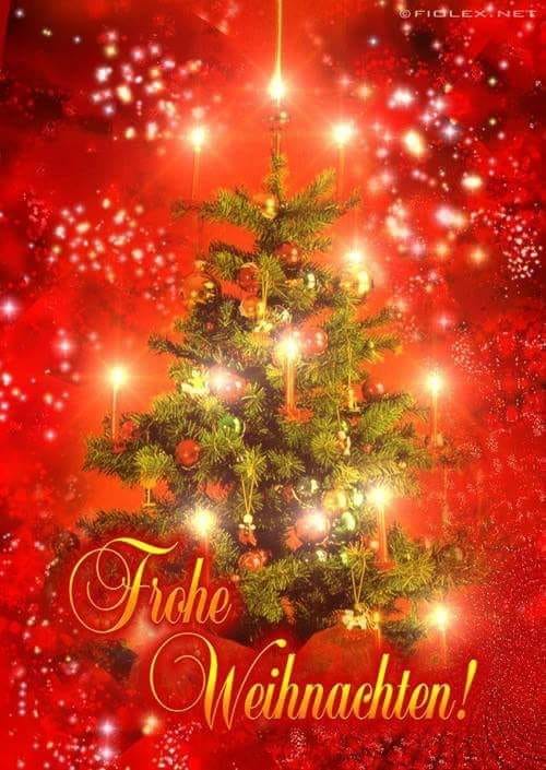 321291376_701804564681935_2755074361703205284_n