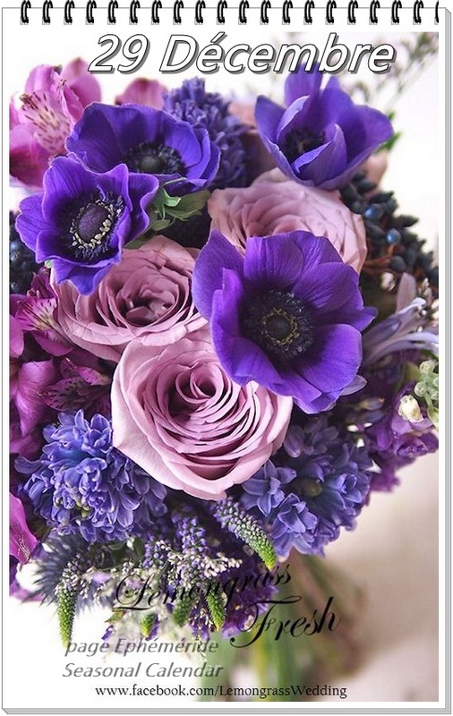 321771942_762059818593107_849647354452134591_n