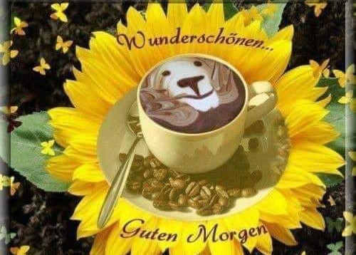 321F23C1-30D0-4EA9-BAC3-36619D697A29