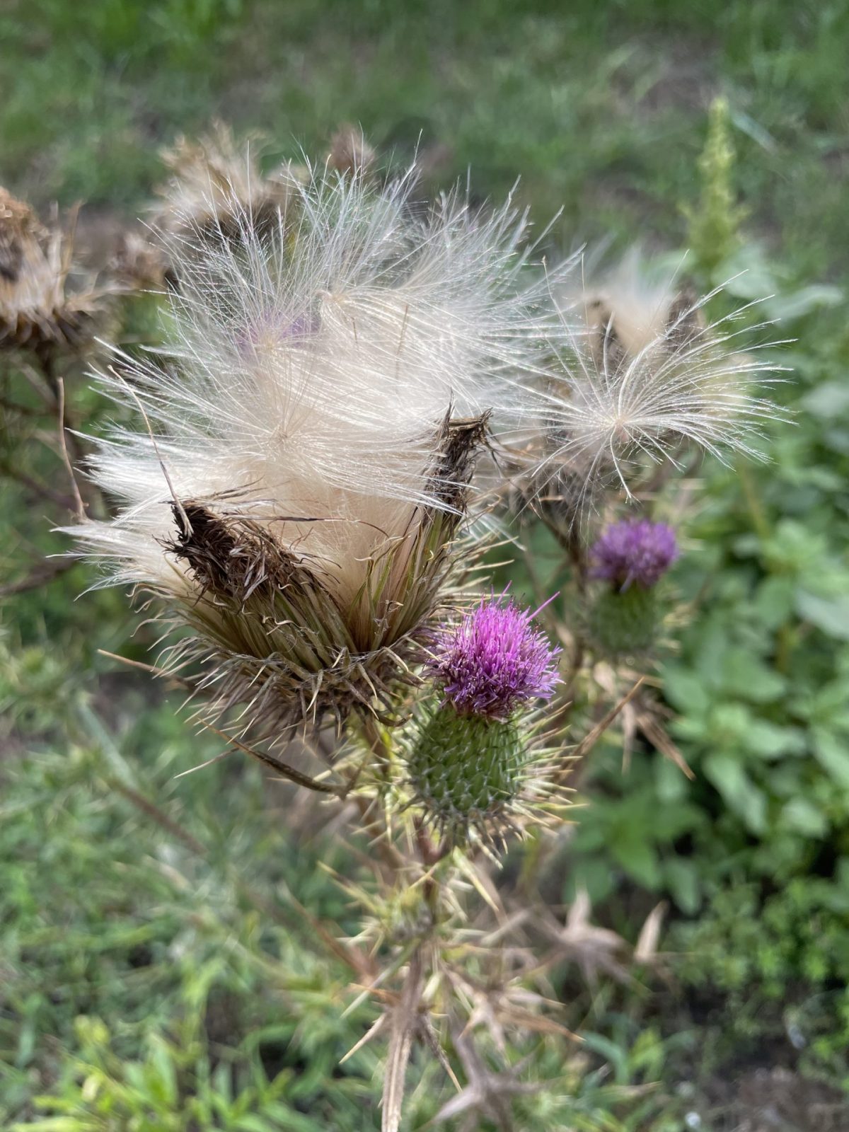 32251AA7-221E-4892-AC3B-0736E1454454