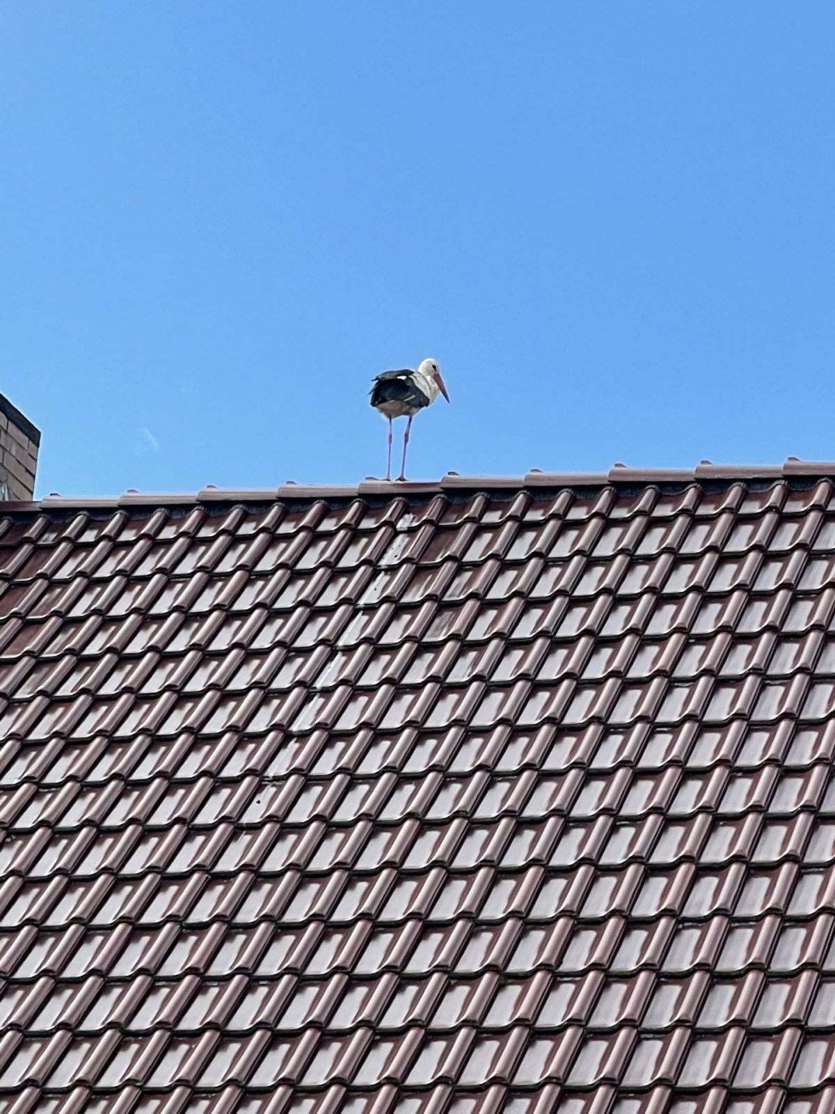 322BBC3E-F779-4401-B302-FDC813560E06