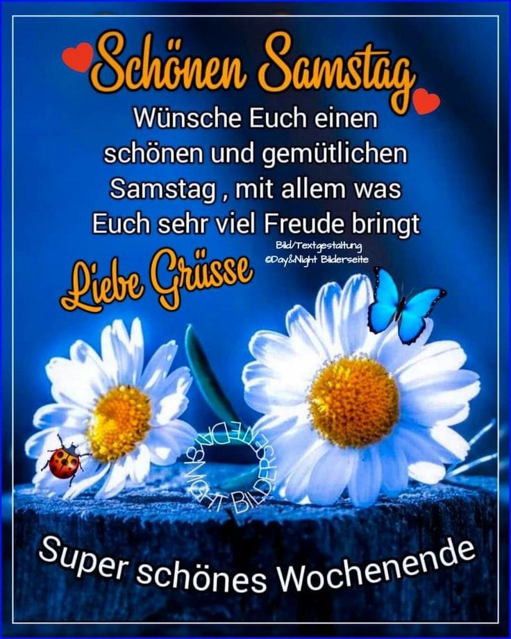 323024019_1581634858925751_3216064632641176498_n (2)