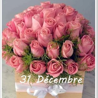 323194730_532770002111650_2471686594663980183_n