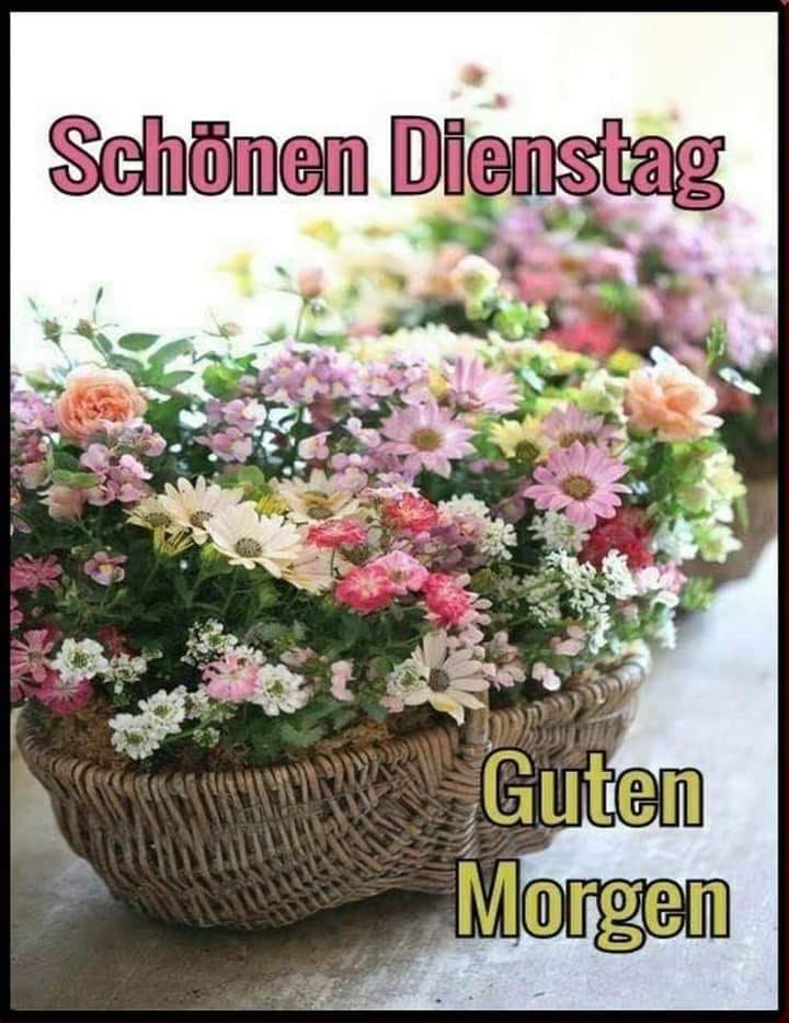 323412475_1214499759483699_382105825803673126_n (2)